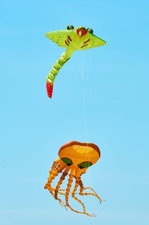 Trykhaty, Mykolaiv region, Ukraine - May, 18, 2019: Kitefest, Tryhutty International Kite Festival 2019 in the village Trykhaty, Ukraine. Annual kitefest.のeditorial素材