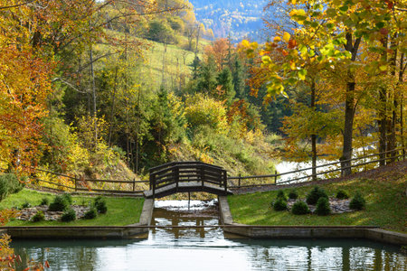 Warm sunny autumn day in a park near Lake Vita, Carpathian mountains, Ukraine. Leaf fall landscape,...