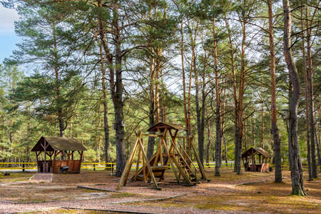 Recreation area with a playground in the forest near the road. Autumnal pine forest landscape. Coniferous woodland. Rest zone.の写真素材