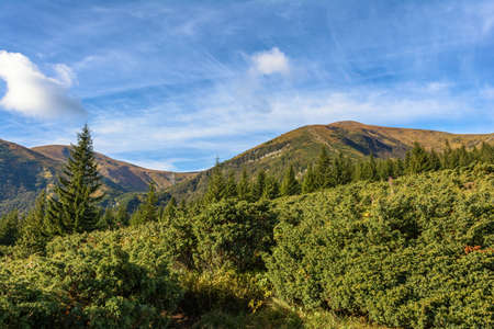 Trail to Mount Hoverla. Carpathian Mountains in Ukraine.の写真素材