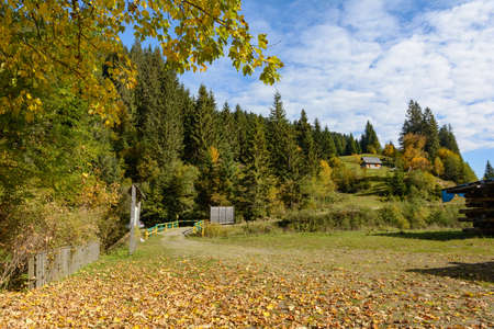 Mountain landscape, autumn sunny day. Carpathian Mountains, Synevyrska Poliana, Zakarpattia Oblast, Ukraine.の写真素材