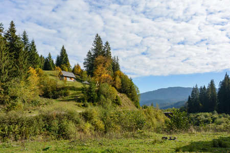 Mountain landscape, autumn sunny day. Carpathian Mountains, Synevyrska Poliana, Zakarpattia Oblast, Ukraine.の写真素材