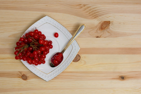 A bunch of sprigs of viburnum with red berries on a white saucer. Guelder Rose berries with a high content of vitamins, healthy food.の写真素材