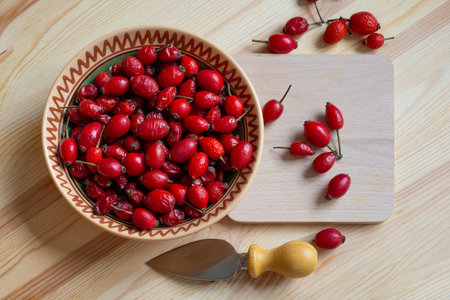 Rose hips are high in vitamins, a healthy food. Red dog-rose are used in traditional medicine to prepare a medicinal drink.の写真素材