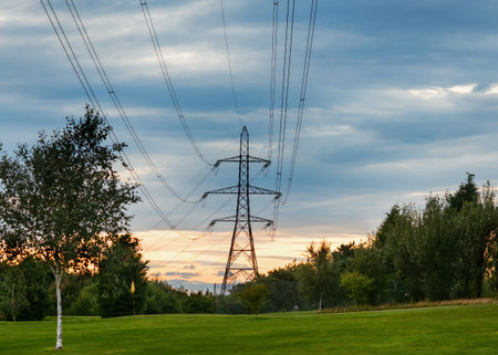power line and electrical transmission tower or electricity pylon or power tower on field.