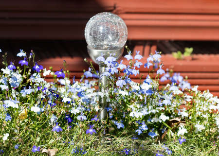 Summer purple and blue flowers and lantern in the gardenの写真素材