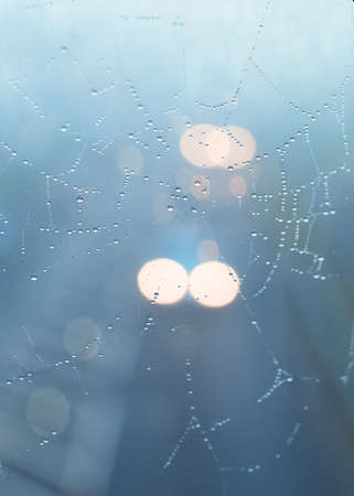 drops on the spider web and  blur night road and fog  behind the webの写真素材