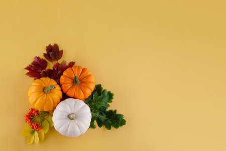 pumpkin and leaves on yellow background. Halloween  and  thanksgiving celebrate.の写真素材