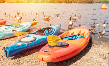A canoes resting on a lakeshore in the public park on summer daysの写真素材