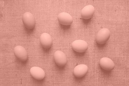 Coral pink background made of fresh organic chicken eggs for your creative design. Color of the year 2020 conceptの写真素材