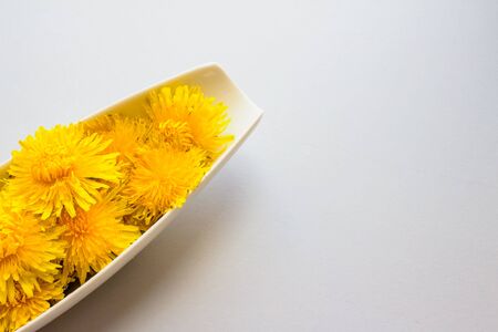 Close up of yellow dandelion heads on white plate on light grey background with copyspace. Alternative medicine conceptの写真素材