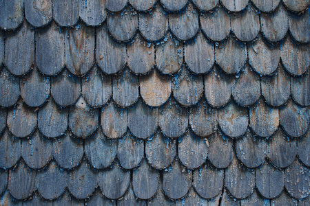Wooden background with copyspace for your text or creative design made with old weathered roof...