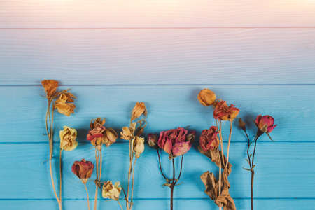 Beautiful flat lay composition with dry rosebuds and rose petals for preparing floral tea and home beauty treatments, on blue wooden background with soft pink light and copyspace - home spa conceptの写真素材