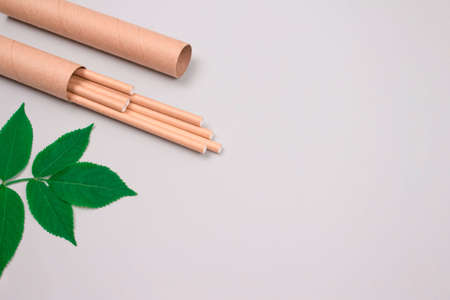 Mockup image of biodegradable brown paper straws packed in kraft paper tube or container with green leaves around, on light grey background with copyspace. Sustainable lifestyle, zero waste concept.の写真素材