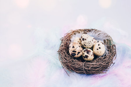 Beautiful Easter composition with quail eggs inside bird nest on multicolour pastel feathers....