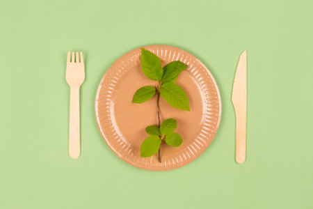 Flat lay composition with eco-friendly tableware - paper plate and wooden cutlery on green background. Paper food packaging, recyclable paperware, zero waste packaging concept. Selective focusの写真素材