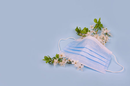 Creative composition with medical protective face mask and cherry blossom branch on pastel blue...