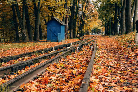 Abandoned railway station in the autumn forest or old public park with yellow leaves fallen - beautiful autumn background landscape. Colorful foliage falling. Selective focusの写真素材