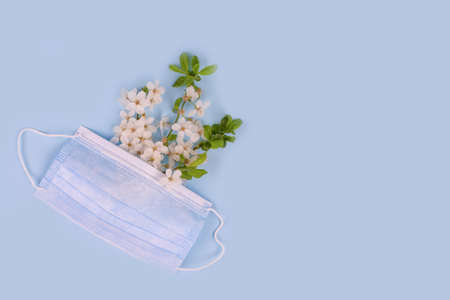 Flat lay composition with medical protective face mask and cherry blossom branch on pastel blue background with copy space. Seasonal spring allergy concept, selective focusの写真素材