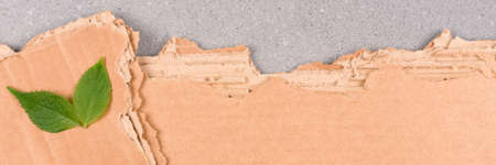 Corrugated cardboard texture as eco banner background for ecological project or paper packaging industry. Carton background with copy space for text and green leaves as a symbol of sustainable packagingの写真素材