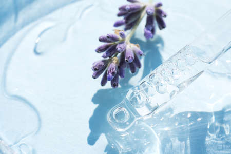 Dropper with transparent cosmetic liquid over blue background with copy space. Texture of lavender cosmetic essential oil, herbal beaty treatment. Selective focusの写真素材