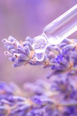 Lavender beauty products - pippete with lavender cosmetic oil, face serum or essential oil. Dropper with herbal essence against lavender flowers as background with copy space. Vertical imageの写真素材