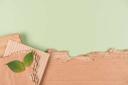Corrugated cardboard sheets over light green background as eco background for ecological project or paper packaging industry. Copy space for text and green leaves as a symbol of sustainable packagingの写真素材