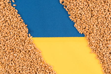 Wheat grain over Ukrainian flag with copy space for text. Global and European food crisis. World wheat grain crisisの写真素材
