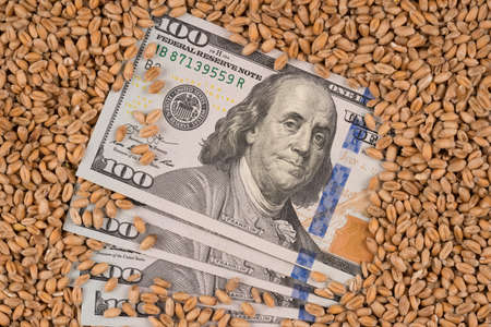 Hundred dollars banknotes over wheat grain. Global food crisis concept. Increasing prices for food and bread. Ukrainian wheat cropの写真素材