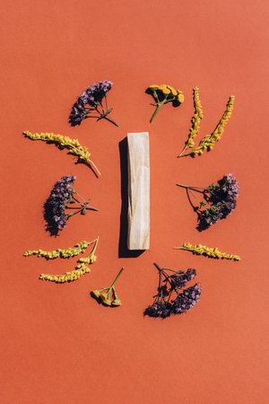 Palo santo stick with fragrant herbs around over orange red background. Holy wood sticks for...