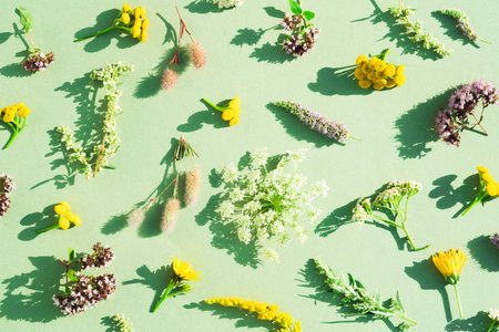 Modern flower composition. Trendy floral pattern made of wild field flowers with shadows over green background. Summer background, flat lay styleの写真素材