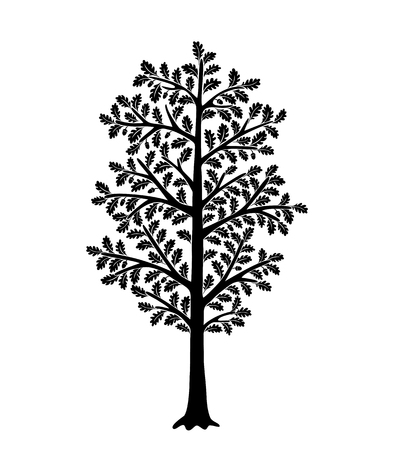 Black tree silhouette isolated on white background. Oak with leaves in acorns. Perfect for Interior Design.のイラスト素材