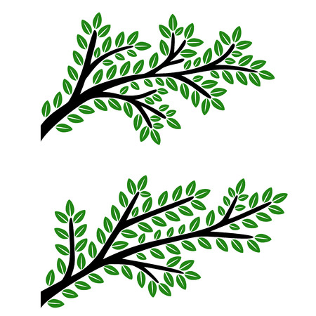 Branches with green leaves isolated on white background. Vector illustration.のイラスト素材