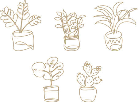 Set of outline botanical doodles. The abstract graphic elements of continuous line drawing on transparent backgroundのイラスト素材