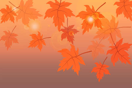 Bright autumn background with maple leaves and stylish bokeh effectの写真素材