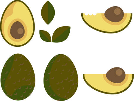 Avocado icon set drawing in flat style clipart with organic colorsのイラスト素材
