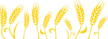 Graphical border with silhouettes of wheat ears colored in yellow on transparent backgroundのイラスト素材
