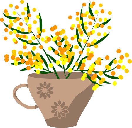 Blooming mimosa branches in flower bouquet put on cupのイラスト素材