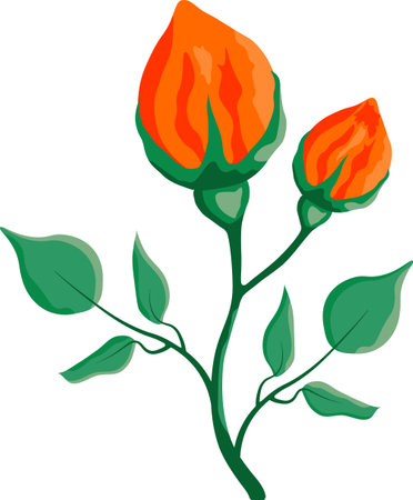 Isolated red rose flowers with leaves design element drawing in flat style on transparent backgroundの写真素材