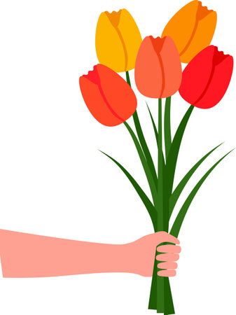 Flat style illustration with bouquet of tulip flowers in hand drawing for holiday greeting card on transparent backgroundのイラスト素材