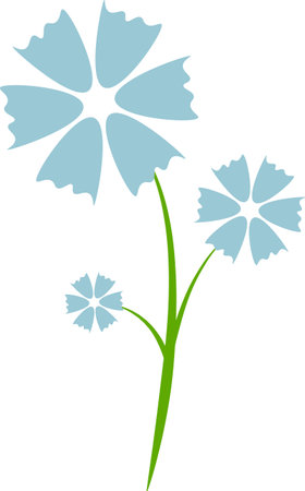 Flat style illustration with blue cornflower drawing for holiday greeting card on transparent backgroundのイラスト素材