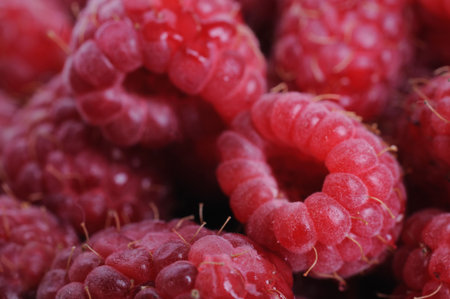 Fresh raspberries background. Shallow depth of field. Focus on right raspberry.