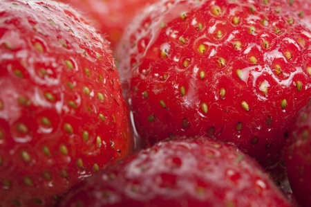 Strawberry with water drops background, shallow depth of field, focus on right berryの写真素材