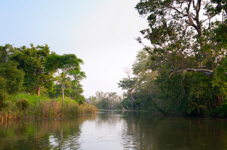Mystical lake in a green tropical forest