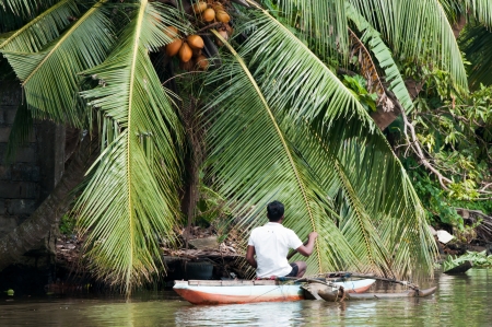 Bentota, Sri Lanka - December 12, 2011: Sri Lankian fisherman in a traditional boat on a river with  jungle on the bankのeditorial素材