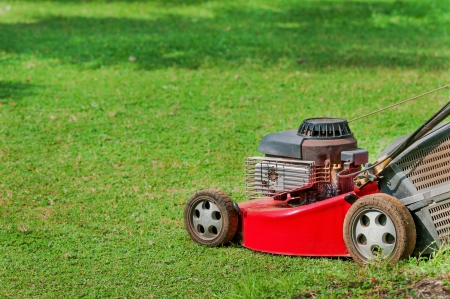 Red lawn mower on green grass in sunny dayの写真素材