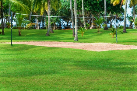 Tropical vacation resort with volleyball court, palm trees and green grass  Focus on the front grass の写真素材