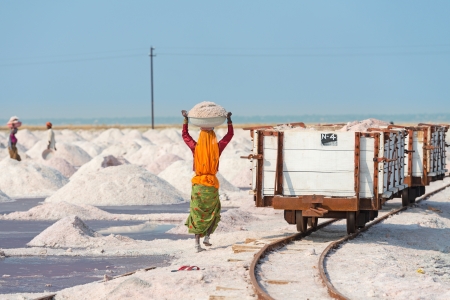 Sambhar, India - Nov 19: Workers collect salt in salt farm on Nov 19, 2012 in Sambhar Salt Lake, India. It is India's largest saline lake and where salt has been farmed for a thousand years. のeditorial素材