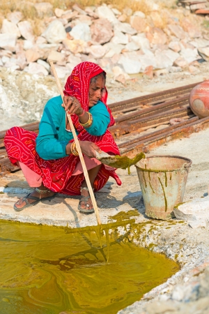 Sambhar, India - Nov 19: Woman collects algae on Nov 19, 2012 in Sambhar Salt Lake, India. The specialized algae and bacteria growing in the lake provide striking water colours.のeditorial素材