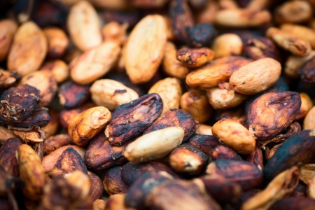 Pile of raw unpeeled cacao beans with shallow depth of fieldの写真素材